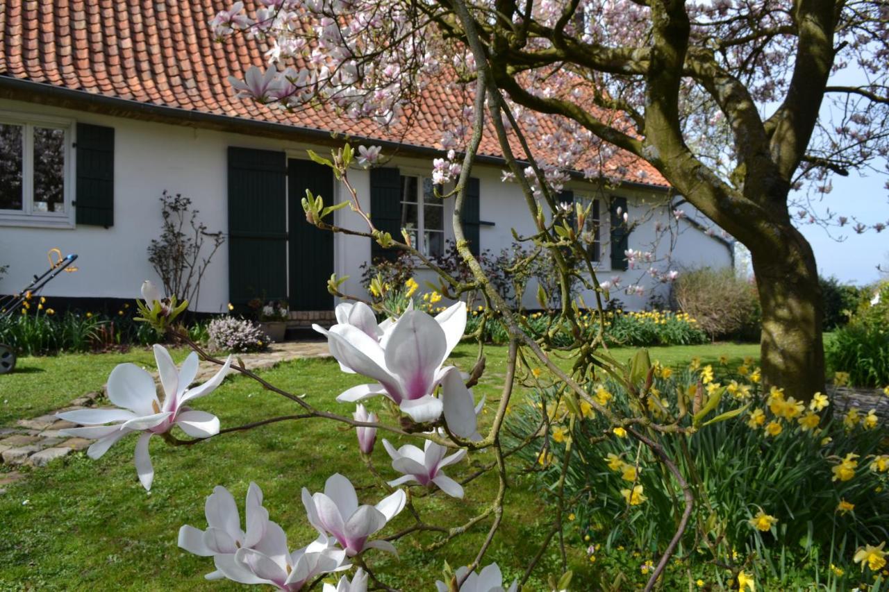 Bed and Breakfast La Longere D'Ecottes Licques Exteriér fotografie